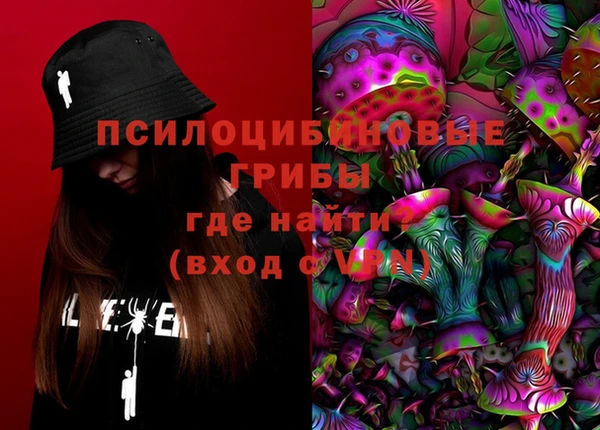 ешки Бронницы