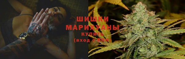 ешки Бронницы